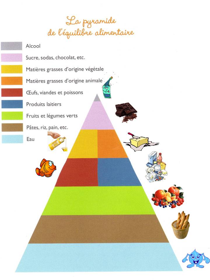 La Pyramide Alimentaire